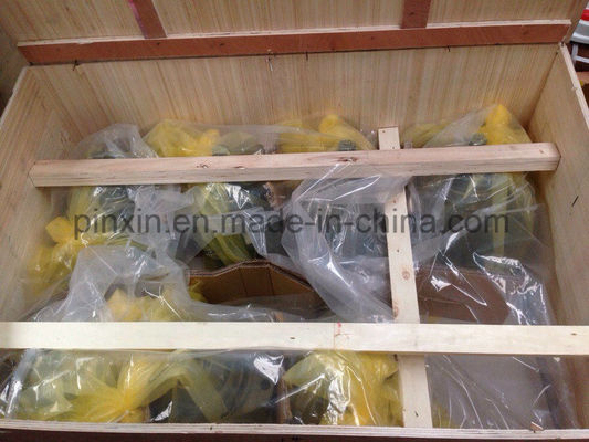 Σχεδιασμός A6ve107ep2d Υδραυλικός κινητήρας έμβολο για φορτηγό Mixer Truck Mounted Beton Pump