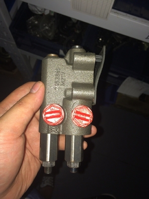 Α10vg Σειρά A4vg180 A4vg90 A4vg45 A10V028 Υδραυλική αντλία για έλκοντες γερανούς