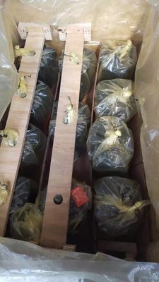 Ενιαία κυλίνδρια A10vg28 Υδραυλική αντλία με έμβολο για μηχανήματα κατασκευής εξορυκτών